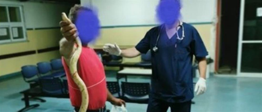 Πήγε στο Κέντρο Υγείας μαζί με το... φίδι που τον δάγκωσε! (εικόνες)
 
