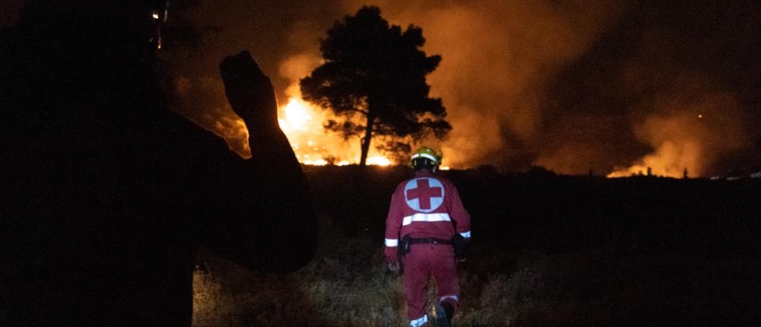 Φωτιές: ο Κάρολος έκανε δωρεά για τους πυρόπληκτους στην Ελλάδα