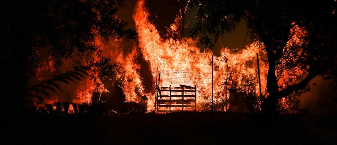 Φωτιά στην Εύβοια: Ανεξέλεγκτη η πύρινη λαίλαπα (εικόνες)