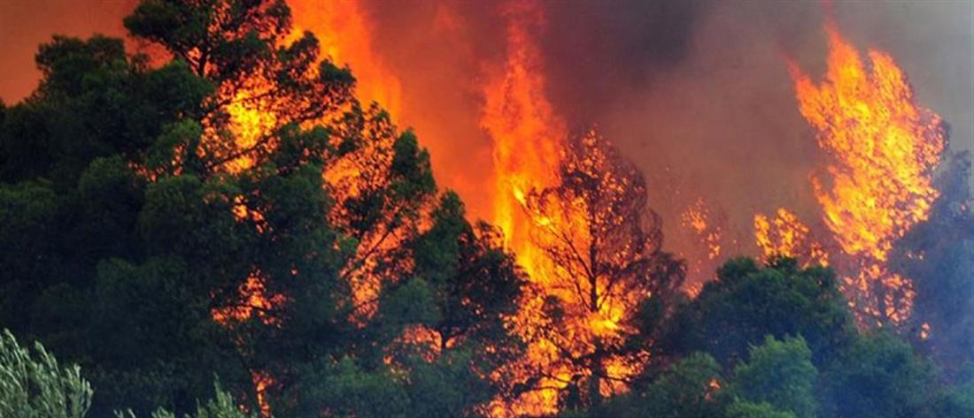 Πολύ υψηλός κίνδυνος πυρκαγιάς το Σάββατο στη μισή Ελλάδα (χάρτης)