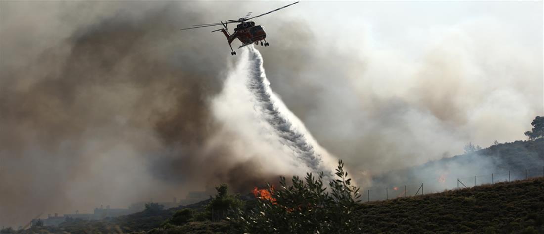 Φωτιά στην Σητεία – “Σηκώθηκε” ελικόπτερο