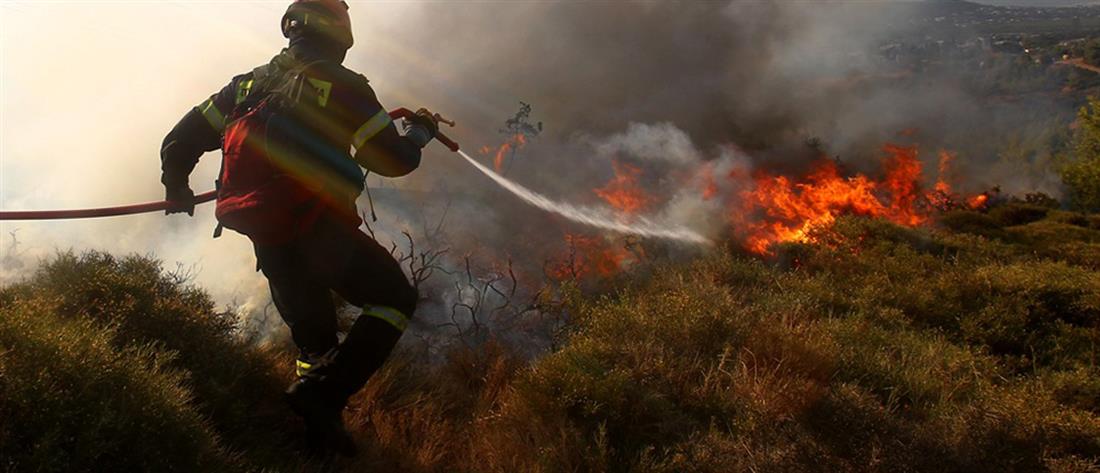 ΓΓΠΠ: Σε ποιες περιοχές υπάρχει πολύ υψηλός κίνδυνος πυρκαγιάς
