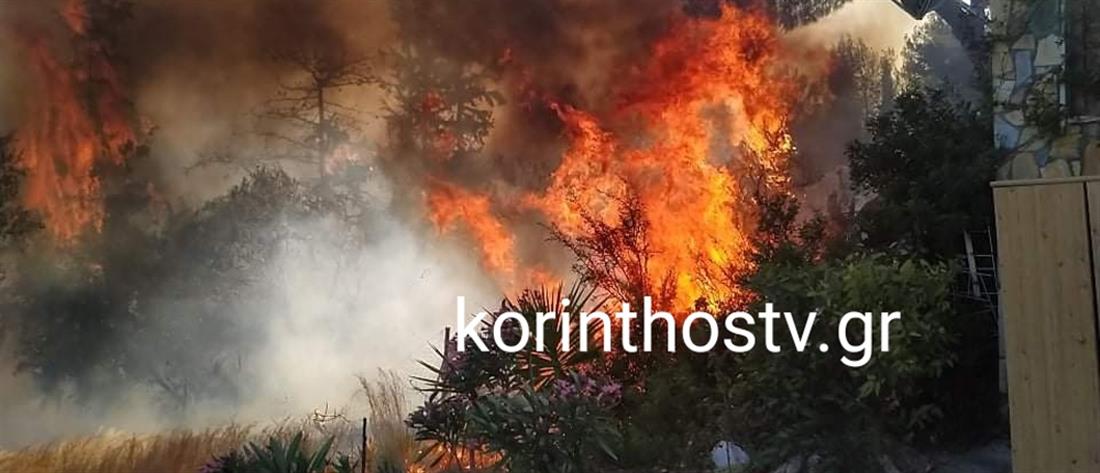 Φωτιά στην Κόρινθο: Κοντά σε σπίτια οι φλόγες (εικόνες)