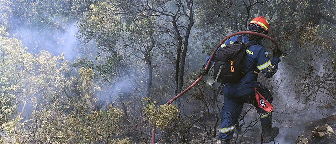 Φωτιά στα Γεράνεια Όρη - Κολοκούρης στον ΑΝΤ1: δεν ξεκίνησε από αμέλεια η πυρκαγιά