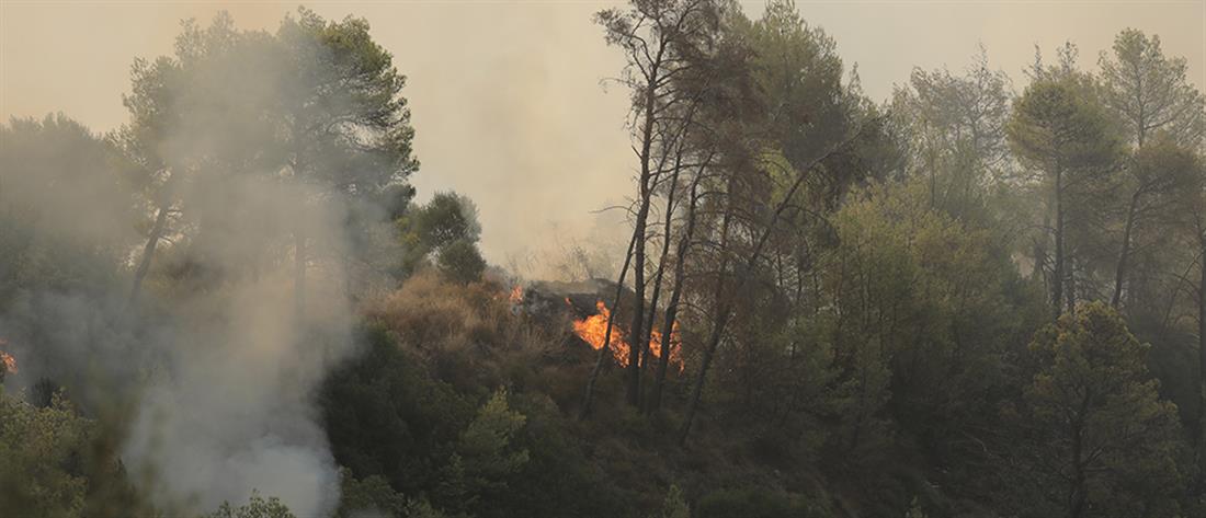 Φωτιά στην Αχαΐα: Καμένα σπίτια και στάχτη παντού (εικόνες)