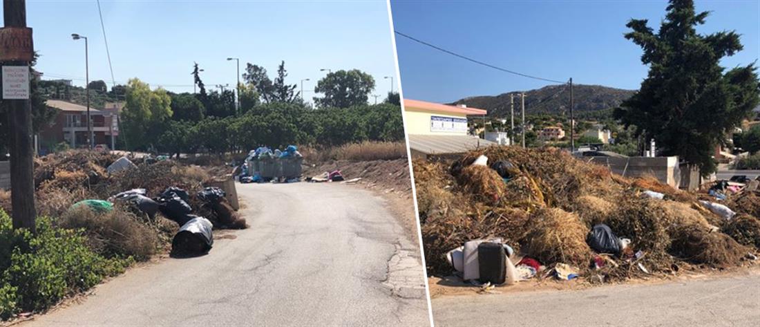 Πόρτο Ράφτη: καταγγελία για “εμπρηστικό” συνδυασμό από σκουπίδια και ξερά χόρτα (εικόνες)