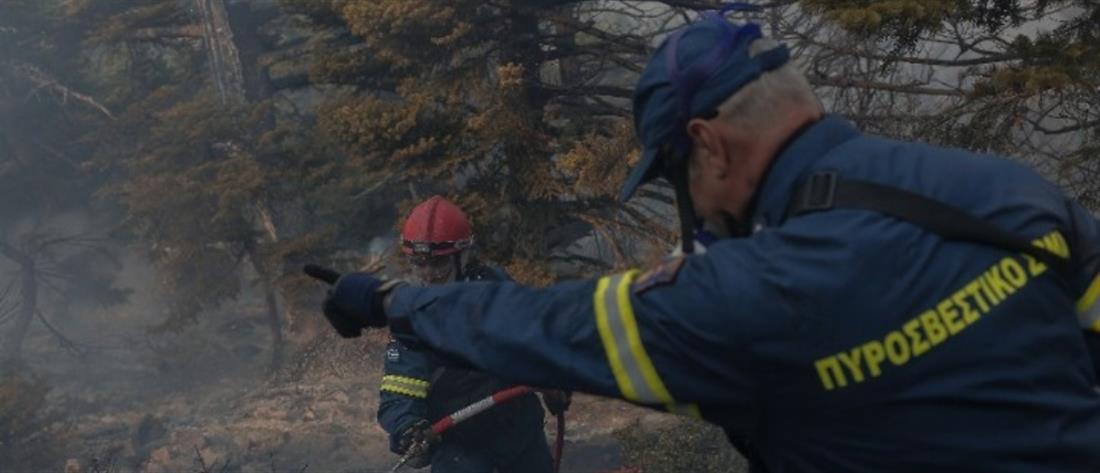 Φωτιά στη Γορτυνία: Πυροσβεστικός φραγμός στα όρια Ηλείας – Αρκαδίας