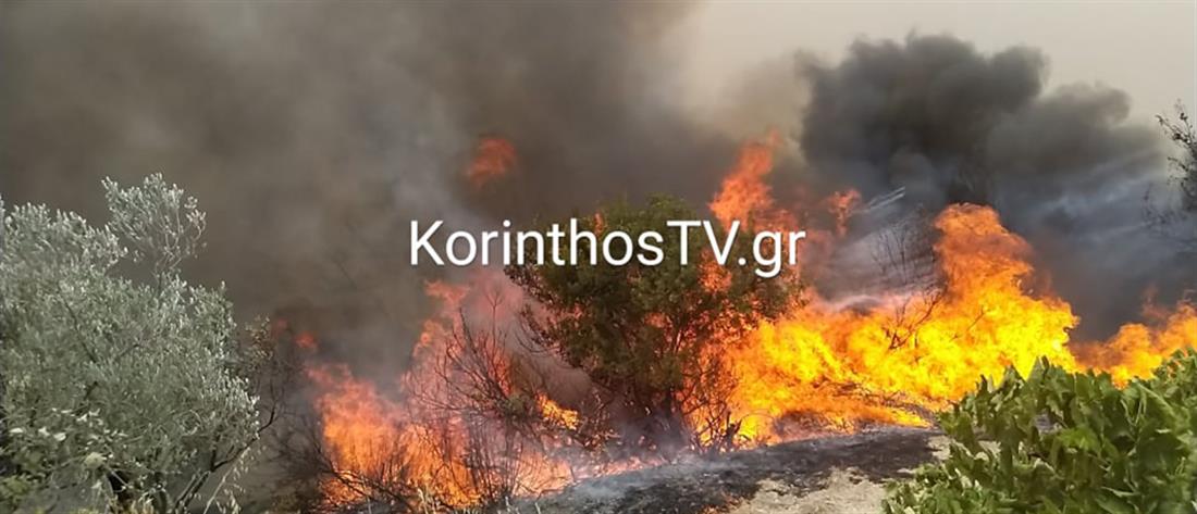 Μεγάλη φωτιά στο Καλέντζι Κορινθίας (εικόνες)