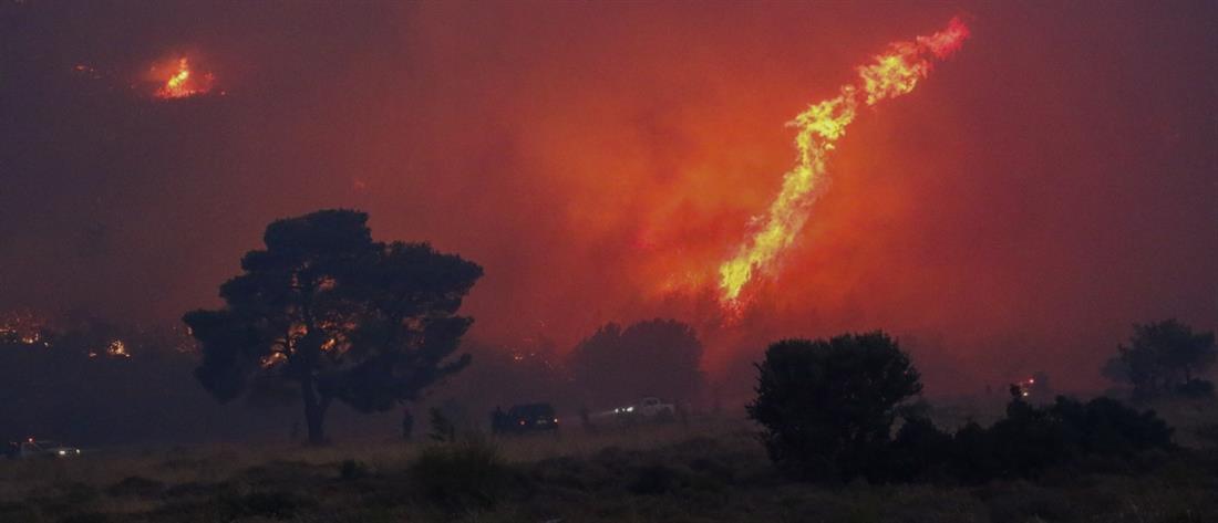 Φωτιές - Θράκη: Ανεξέλεγκτα μέτωπα στον Έβρο - Αναζωπυρώσεις στην Ροδόπη (βίντεο)