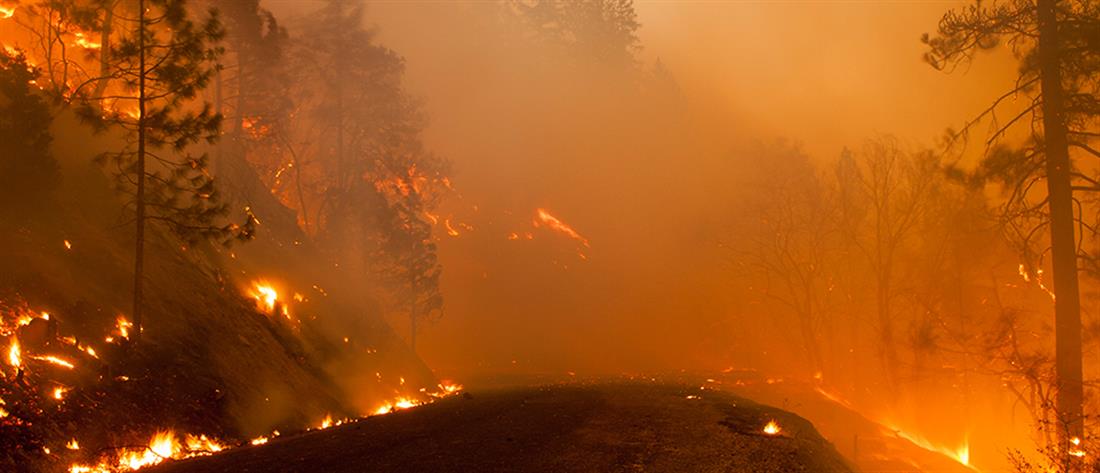 Οι δασικές πυρκαγιές απειλή για την εξάπλωση του κορονοϊού