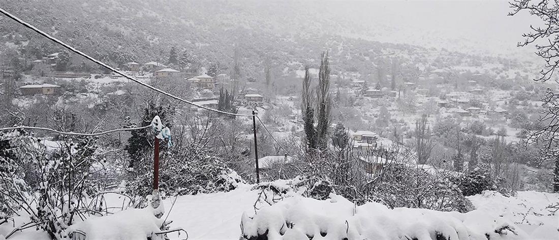 Κακοκαιρία “Λέανδρος”: Στο 30% η χιονοκάλυψη στην Ελλάδα (εικόνες)