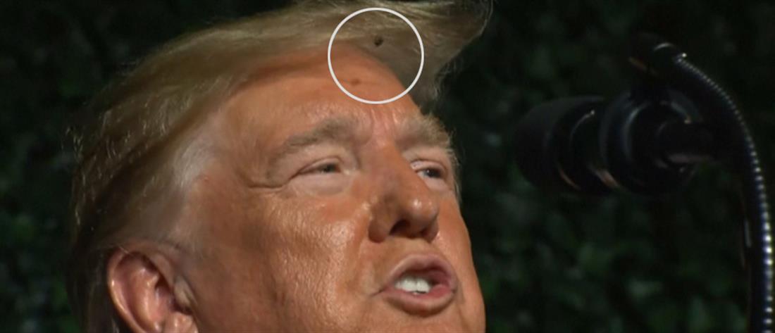 Μύγα: Ο.. απρόσμενος επισκέπτης στο κεφάλι του Τραμπ (εικόνες)