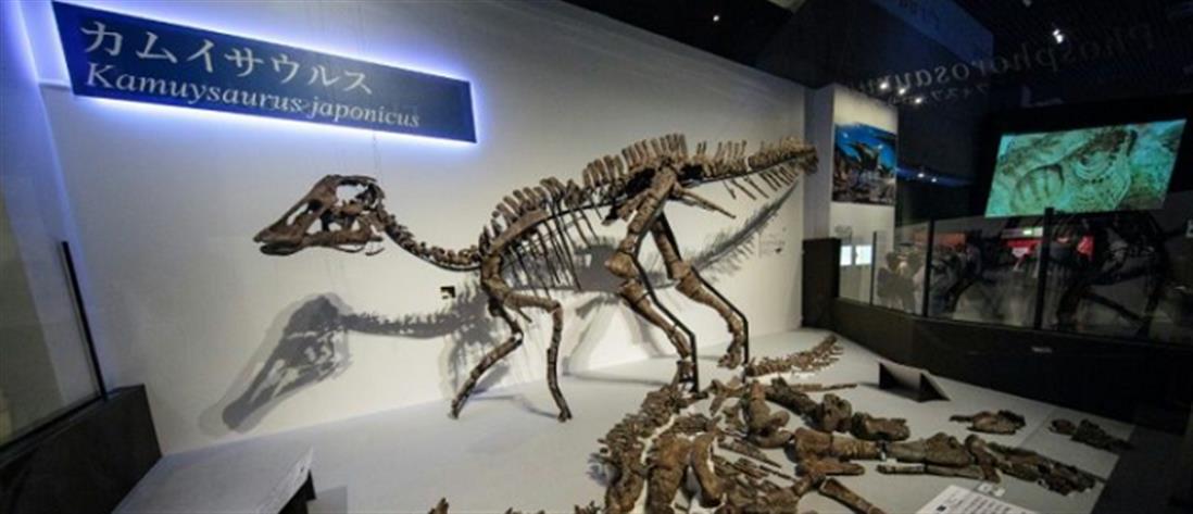Επιστήμονες ανακάλυψαν νέο είδος δεινοσαύρου