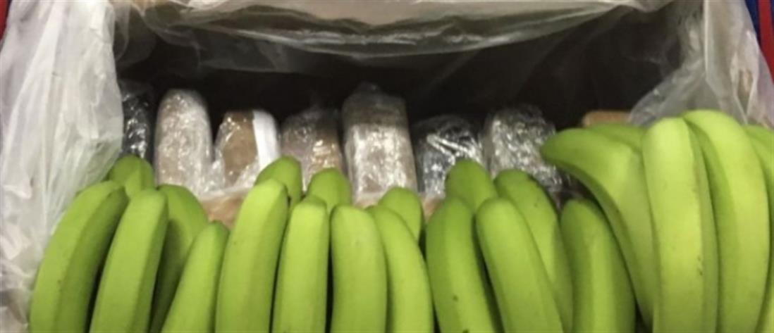 Οι μπανάνες “έκρυβαν” 120 κιλά … κοκαΐνης