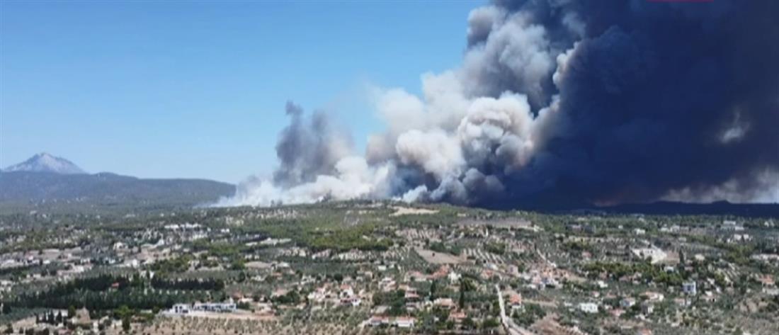 Φωτιά στο Λουτράκι: Εκκένωση οικισμών και κατασκηνώσεων (βίντεο)
