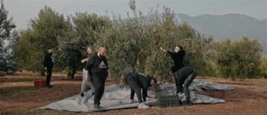 O Βασίλης Καρράς έβαλε τους Unboxholics να μαζέψουν ελιές στο κτήμα του (βίντεο)