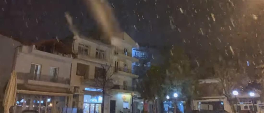 Κακοκαιρία “Λέανδρος”: Χιόνια στην Φλώρινα (βίντεο)