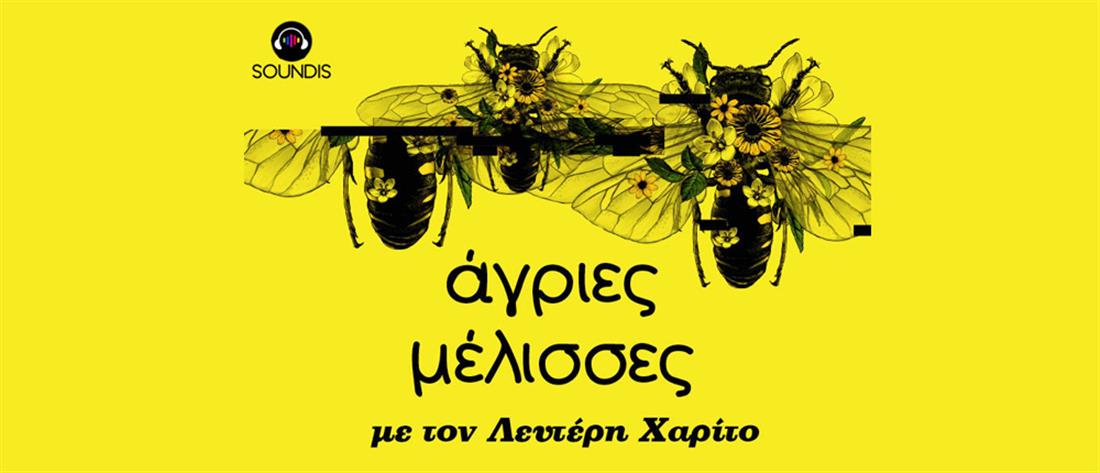 SOUNDIS - “Άγριες Μέλισσες”: σε νέο podcast οι αδελφές Σταμίρη και ο Λευτέρης Χαρίτος