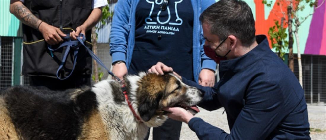 Δήμος Αθηναίων: Έτοιμο το πρώτο σύγχρονο καταφύγιο για αδέσποτα ζώα
