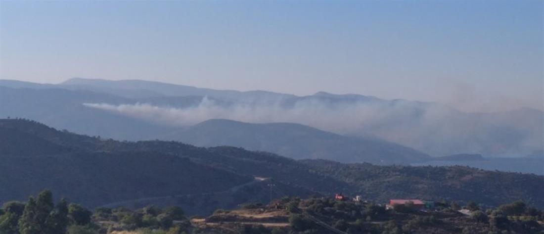 Χίος: Φωτιά στην Κατάβαση (εικόνες)