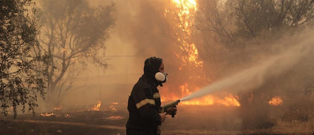 Αμαλιάδα: Φωτιά στην Ανάληψη