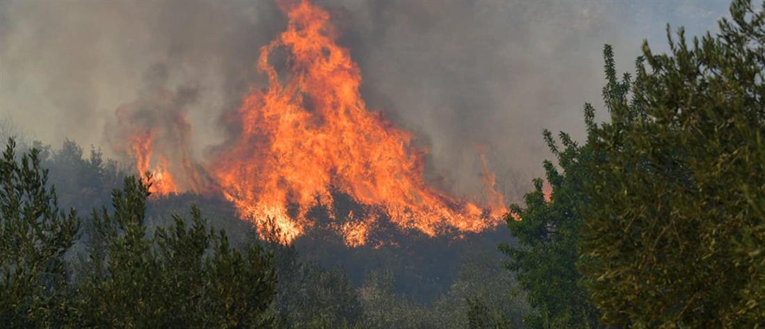 Βόνιτσα: Φωτιά στην περιοχή Θυρίο