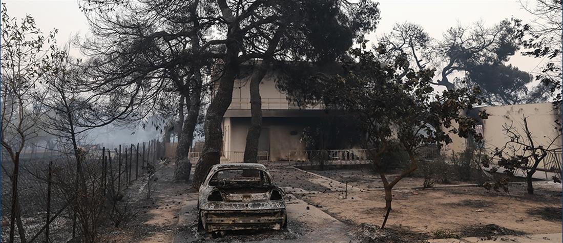 Φωτιά στη Βαρυμπόμπη: καμένα σπίτια, καμένα ζώα και καταστροφή (εικόνες)