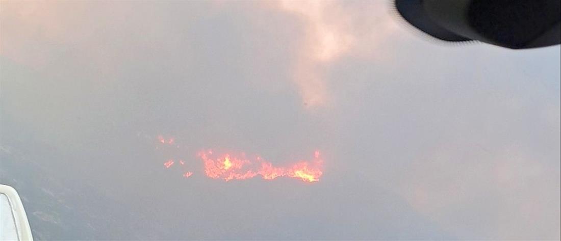 Φωτιά στη Νάξο: Δύσκολη νύχτα με ενισχυμένες πυροσβεστικές δυνάμεις (εικόνες)