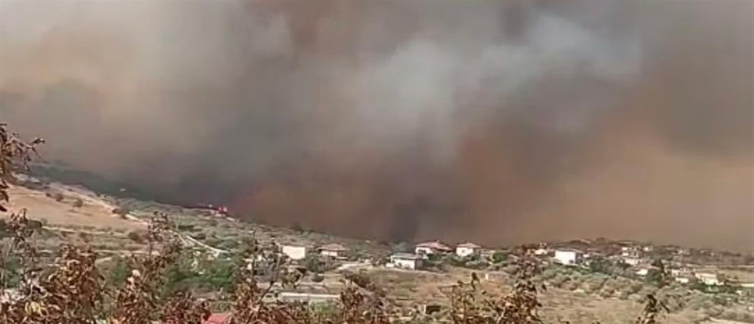 Φωτιές: Εκκένωση οικισμών στην Μαγνησία – Επί ποδός σε Φθιώτιδα, Ρόδο, Εύβοια, Κέρκυρα