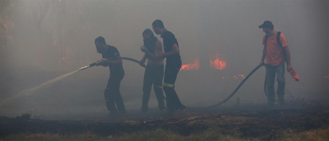 Χρυσοχοΐδης - Χαρδαλιάς: 81 πυρκαγιές σε ένα 24ωρο - Μέλημά μας η ανθρώπινη ζωή