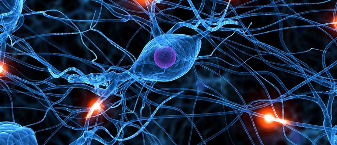 Ηλεκτρομυογράφημα: Μια λειτουργική εξέταση για τη μελέτη του περιφερικού νευρικού συστήματος και  των μυών