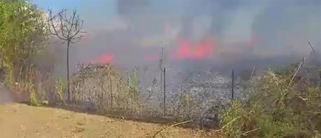Καλαμάτα: Φωτιά κοντά στο αεροδρόμιο (βίντεο)
