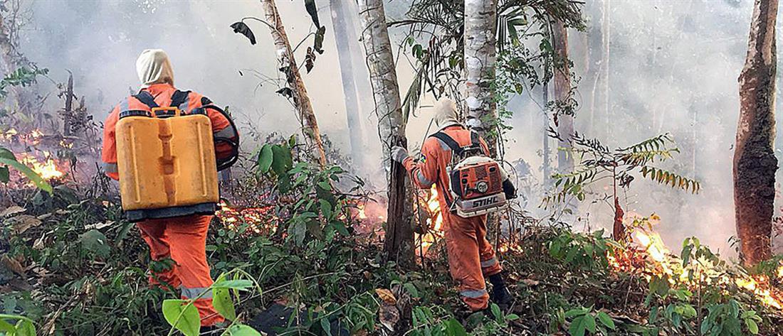 Τσίπρας: Οι φωτιές στον Αμαζόνιο απειλούν το κοινό μας σπίτι, τη Γη