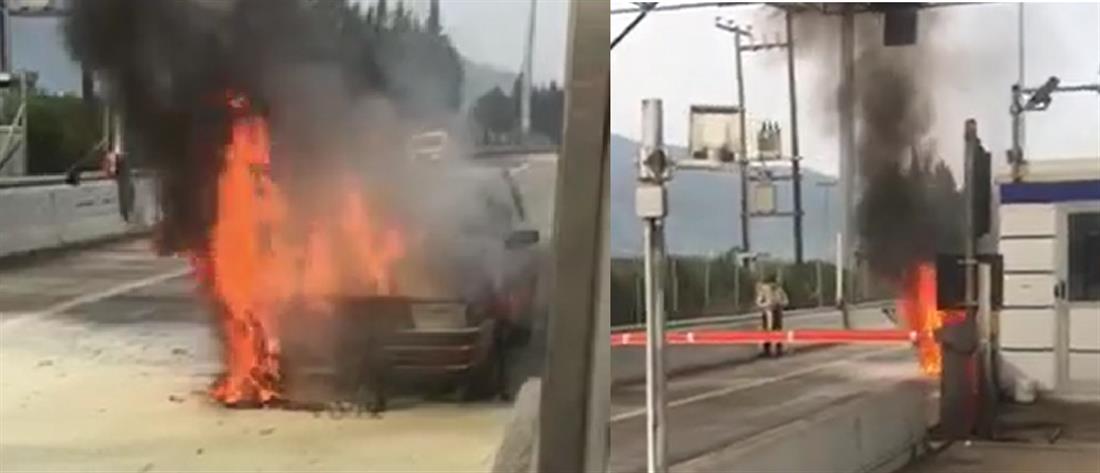 Αυτοκίνητο τυλίχθηκε στις φλόγες σε διόδια (βίντεο)