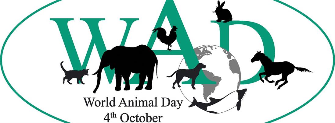 Παγκόσμια Ημέρα των Ζώων: η σχέση μας με τα ζώα υπόθεση ηθικής