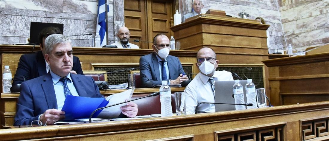 Βουλή - Ανδρουλάκης: Ένταση για την καταγγελία απόπειρας παρακολούθησης