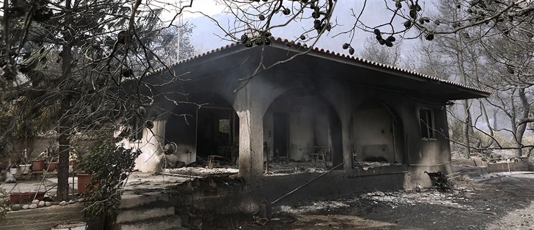 Φωτιά στο Σχίνο  Λουτρακίου: Μάχη για να τεθεί υπό έλεγχο (εικόνες)