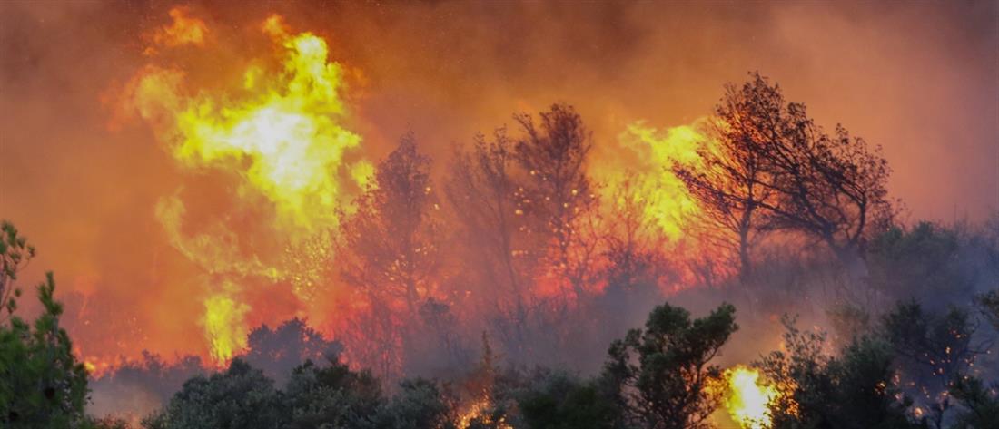 ΜΕΤΕΟ - Φωτιές: 1,2 εκατομμύρια στρέμματα έχουν καεί από την Πρωτομαγιά στην Ελλάδα