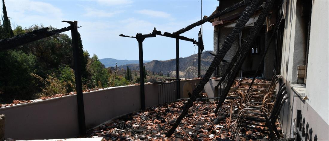 Φωτιές: Τι έδειξαν οι αυτοψίες στις πυρόπληκτες περιοχές