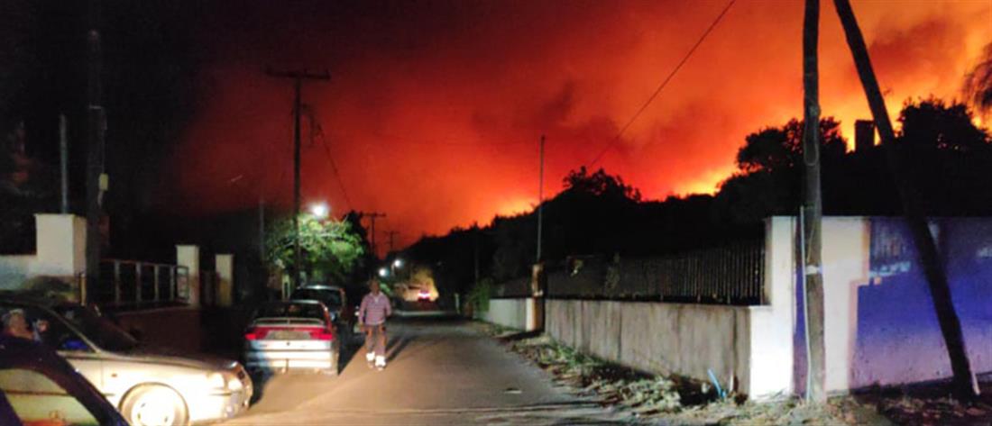 Φωτιά στον Σχίνο Λουτρακίου: Οι φλόγες έφθασαν στα σπίτια