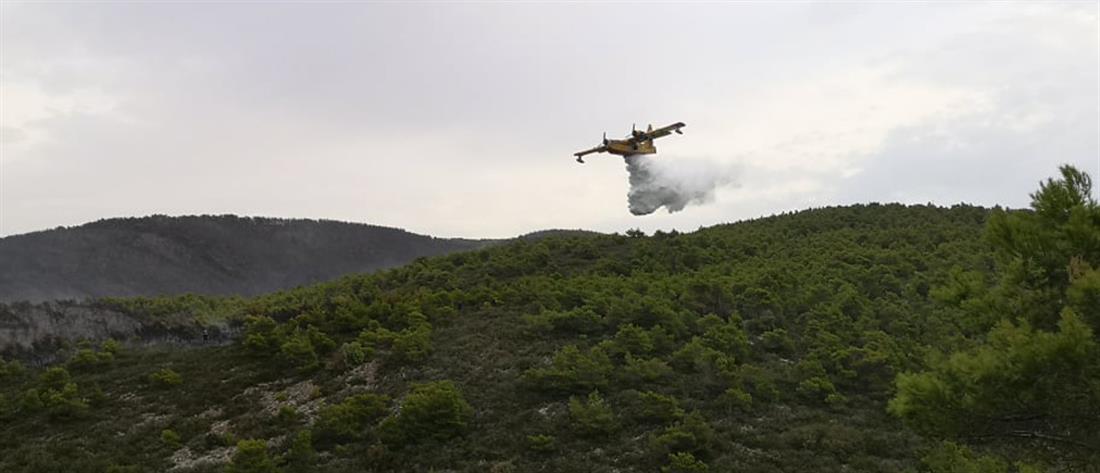 Ζάκυνθος: Οριοθετήθηκε η μεγάλη πυρκαγιά (βίντεο)