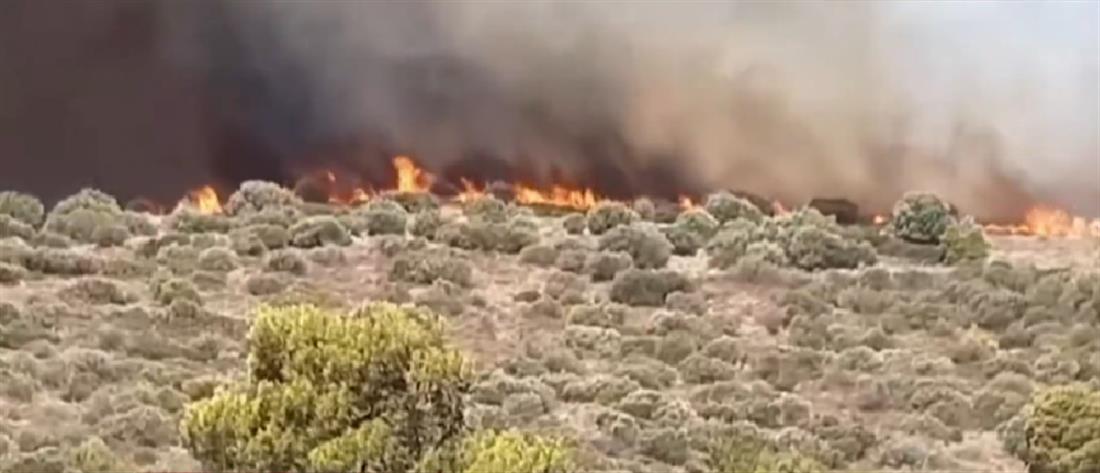 Φωτιά στην Κερατέα: εντολή για εκκένωση του οικισμού Μαρκάτι