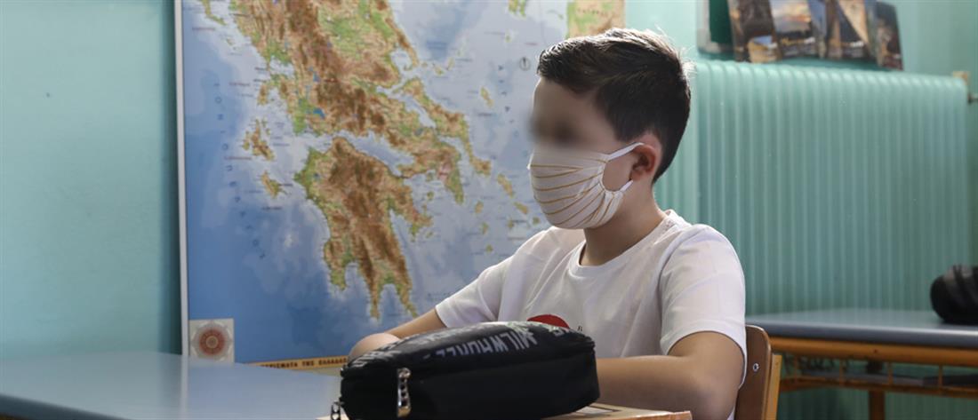 Κορονοϊός - Γώγος: μόνο με χειρουργική μάσκα τα παιδιά στο σχολείο (βίντεο)