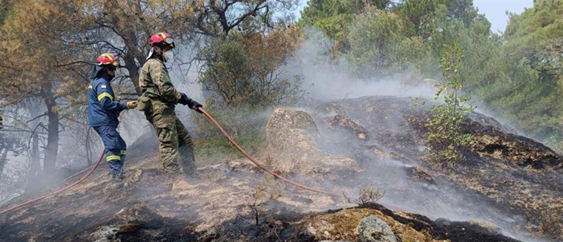 Σουφλί - Φωτιά στην Δαδιά: Η ενημέρωση της Πυροσβεστικής
