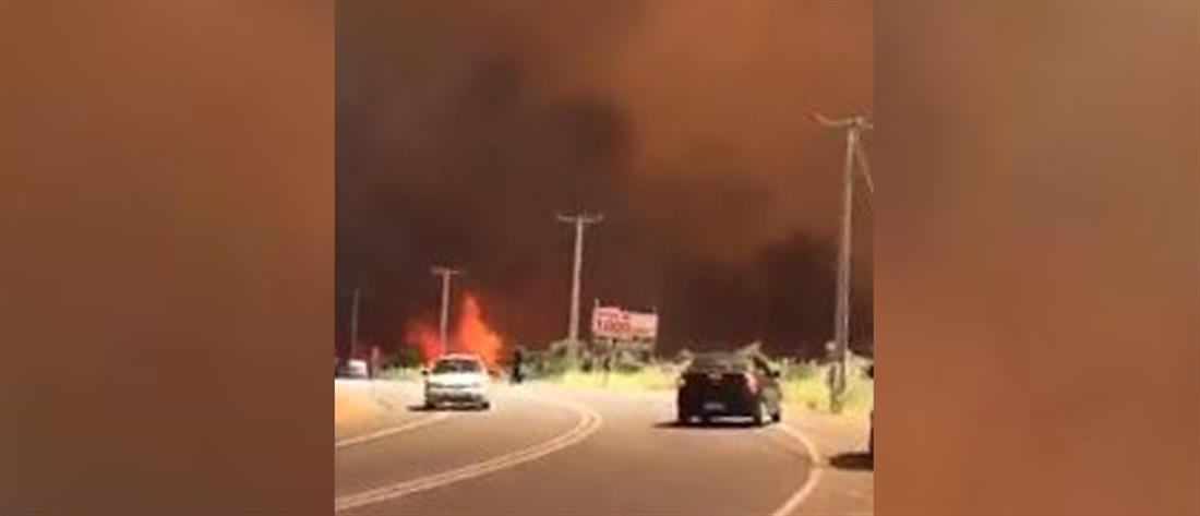 Φωτιές στη Χιλή: Ένας νεκρός, τραυματίες και δεκάδες σπίτια στάχτη (εικόνες)