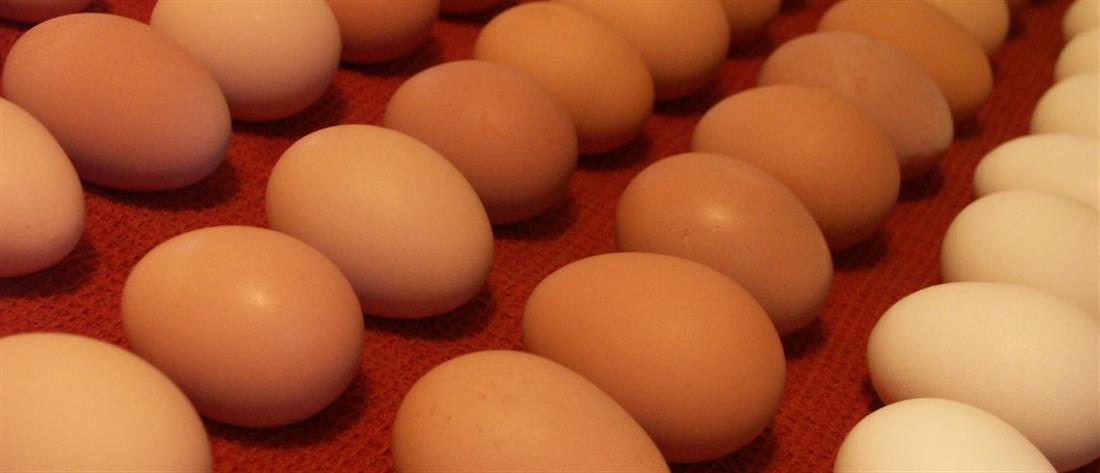 Ομελέτα με… 2020 αυγά για το νέο έτος