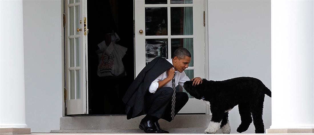 Μπαράκ Ομπάμα: πέθανε ο σκύλος του, Μπο