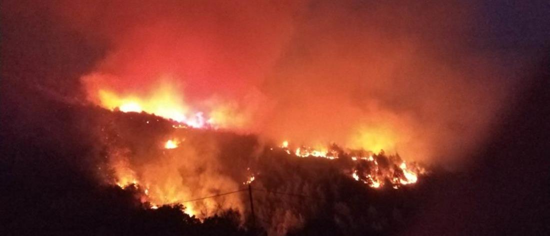 Φωτιά στην Ηλεία: Ανεξέλεγκτο το πύρινο μέτωπο (εικόνες)