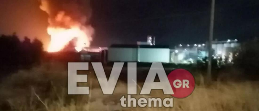 Εύβοια: Μεγάλη φωτιά σε εργοστάσιο (βίντεο)
