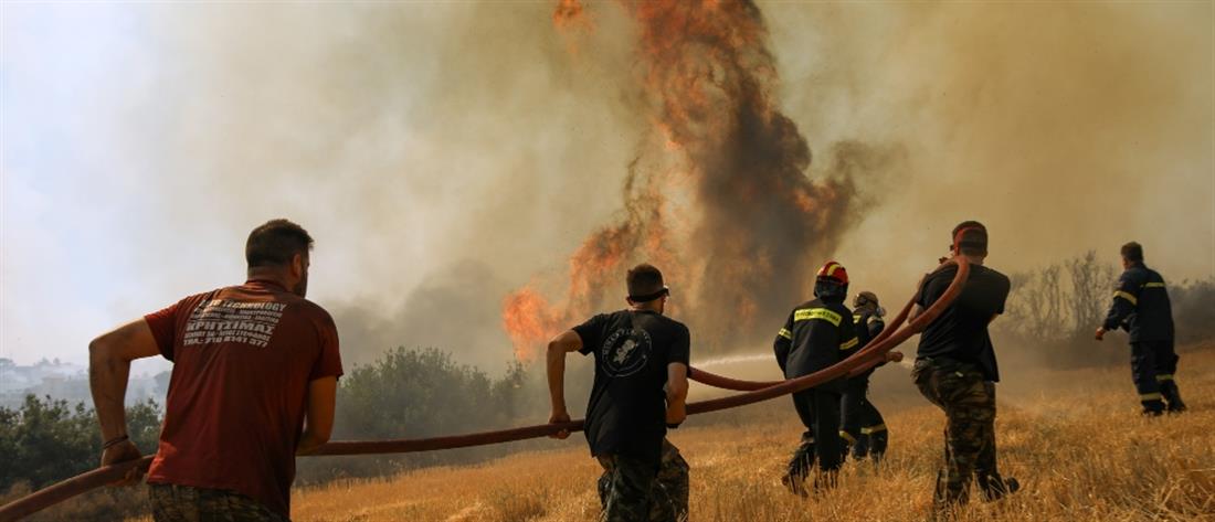 Φωτιές – Λιβανός: Αγρότες και κτηνοτρόφοι θα αποζημιωθούν άμεσα 